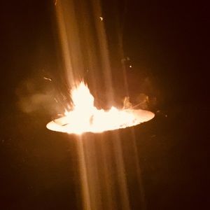 Meet your Posher, Ella